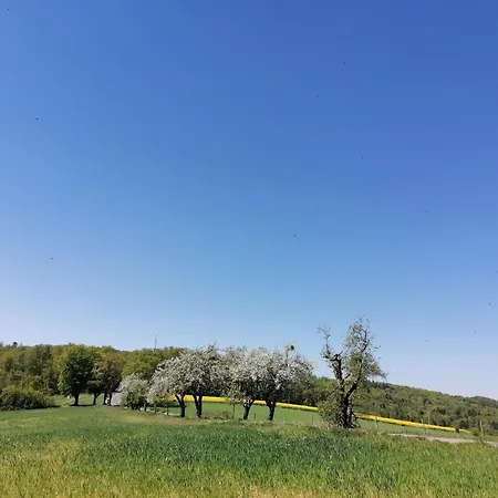 Dietlinds Ober-Nauses