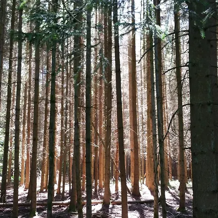 Dietlinds דירה Ober-Nauses