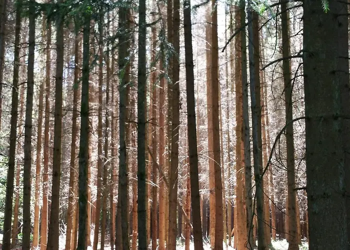 Dietlinds Apartmán Ober-Nauses