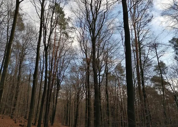 Appartement Dietlinds